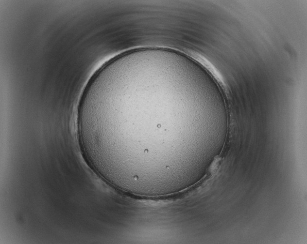 X0000116790996200912311913