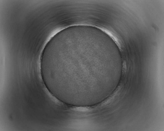 X0000116790998200912311913