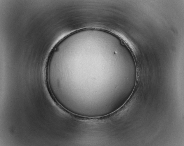 X0000116790999200912311913