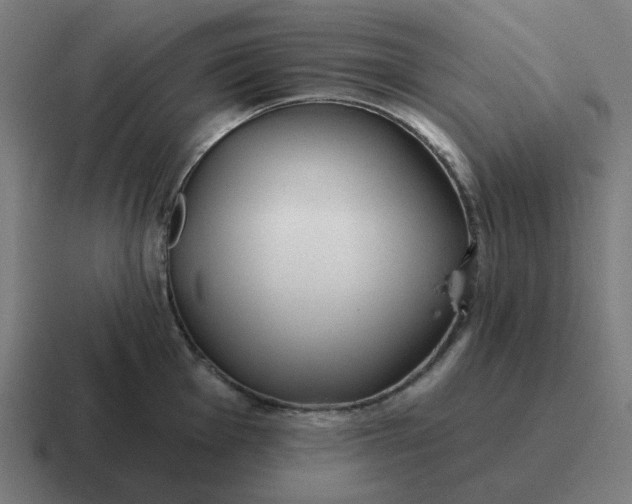 X0000116791001200912311913