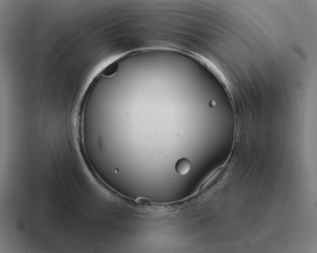 X0000116791003200912311913