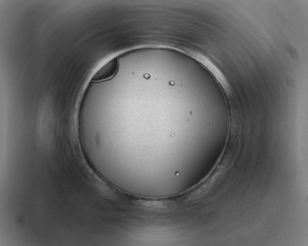 X0000116791004200912311913