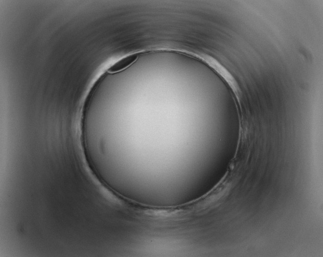 X0000116791005200912311913