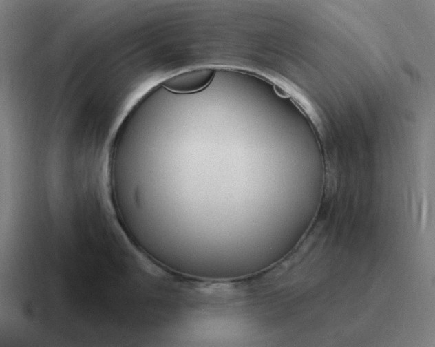 X0000116791006200912311913