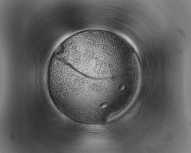 X0000116791007200912311913