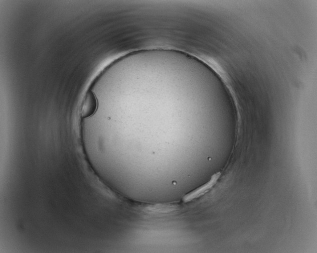 X0000116791008200912311913