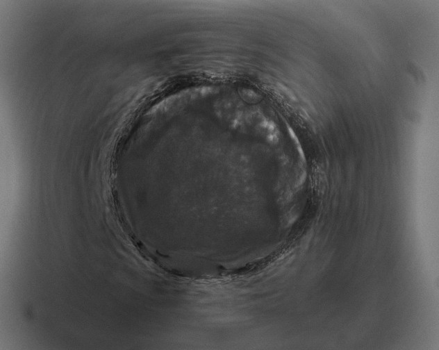 X0000116791009200912311912