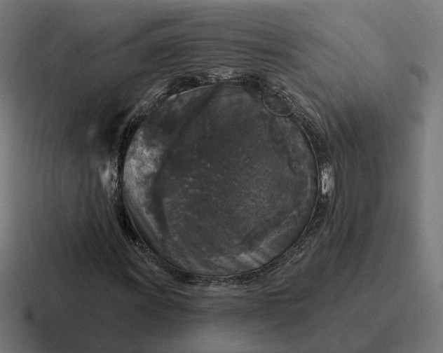 X0000116791011200912311912