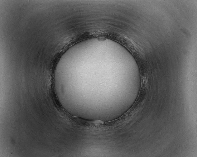 X0000116791012200912311912