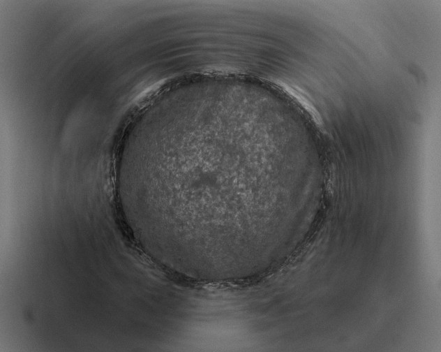 X0000116791015200912311912