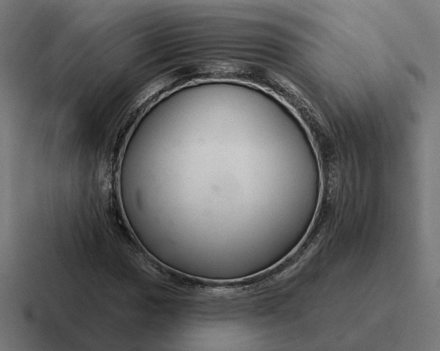 X0000116791017200912311912