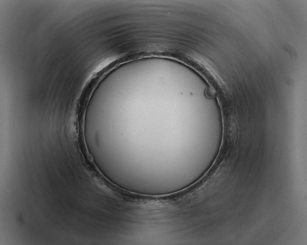 X0000116791018200912311912