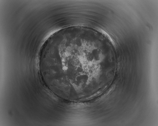 X0000116791019200912311913