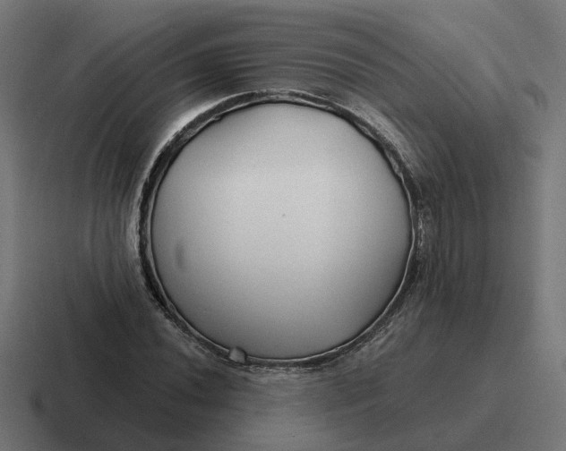 X0000116791020200912311913