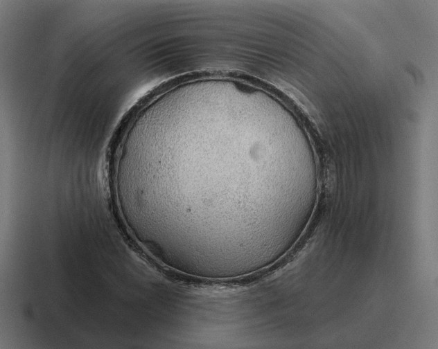 X0000116791022200912311913