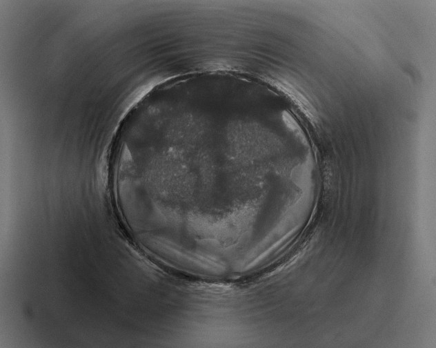 X0000116791023200912311913