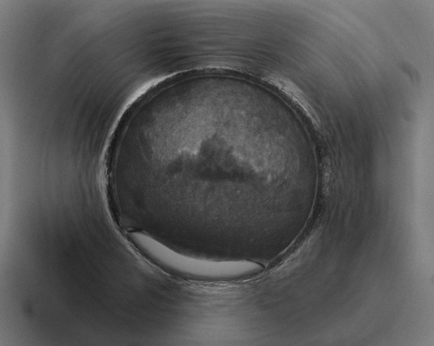 X0000116791024200912311913