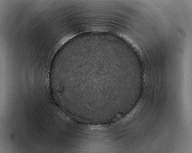 X0000116791025200912311913