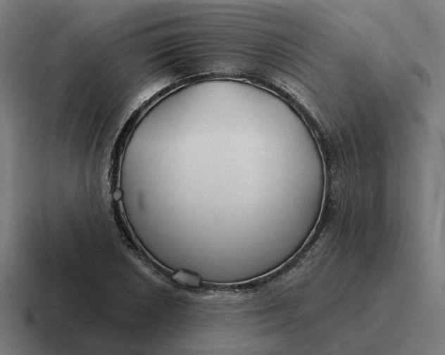 X0000116791026200912311913