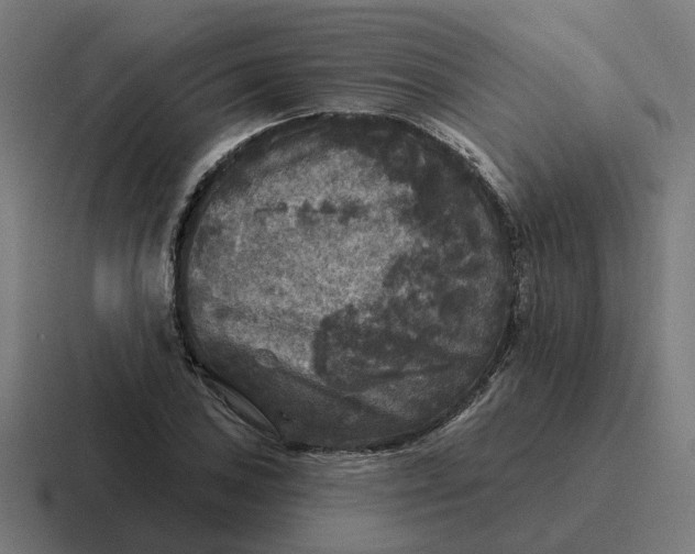 X0000116791027200912311913