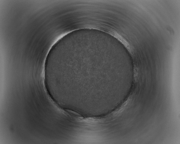 X0000116791028200912311913