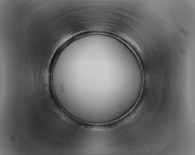 X0000116791029200912311913