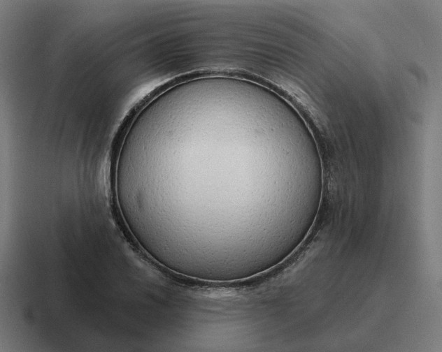 X0000116791030200912311913