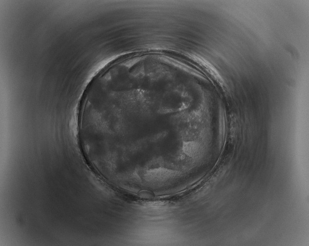 X0000116791031200912311913