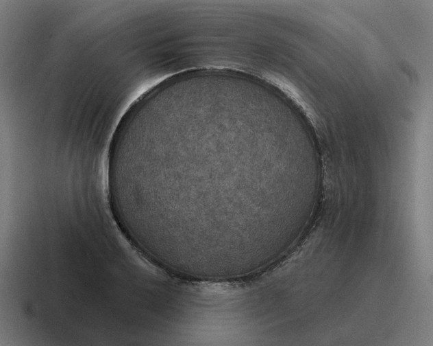 X0000116791032200912311913