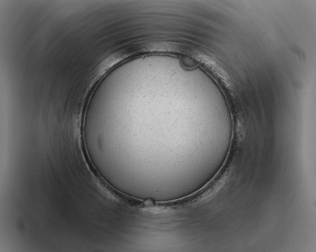 X0000116791033200912311913