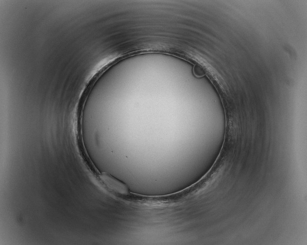 X0000116791034200912311913