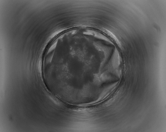 X0000116791035200912311913