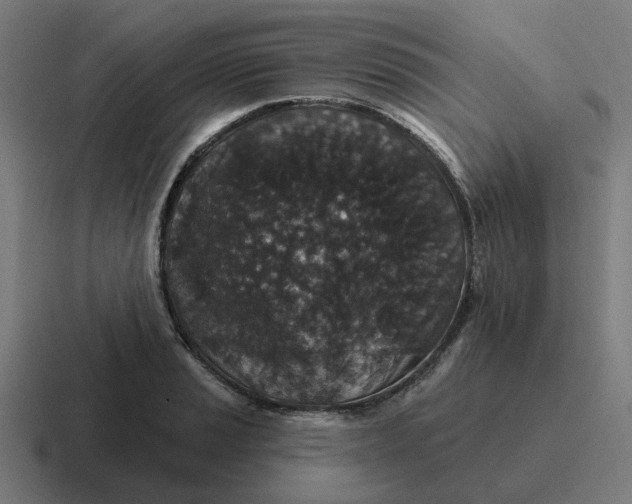 X0000116791037200912311913