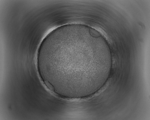 X0000116791038200912311913