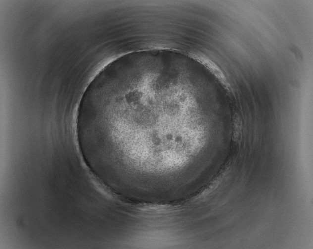 X0000116791039200912311913