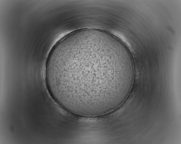 X0000116791040200912311913