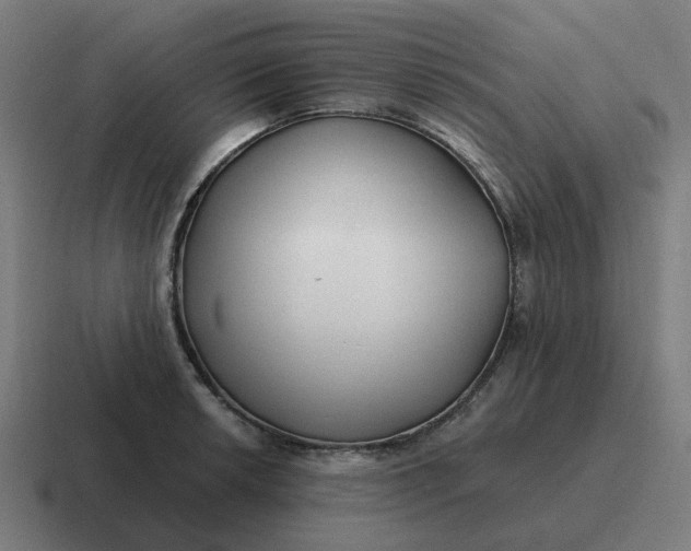 X0000116791042200912311913