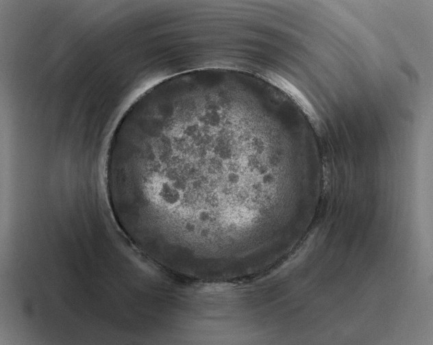 X0000116791043200912311913