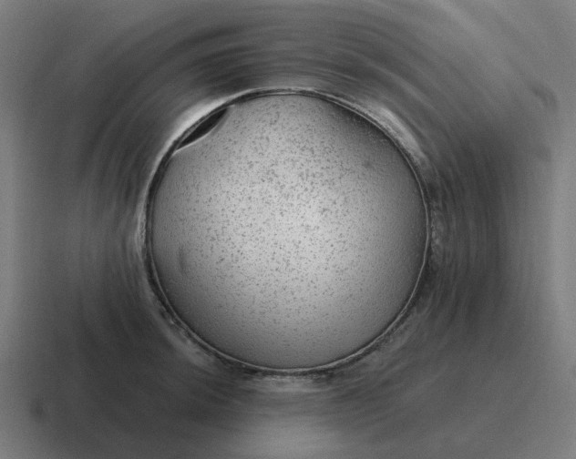 X0000116791044200912311913