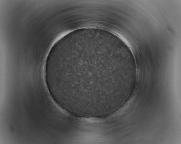 X0000116791045200912311913