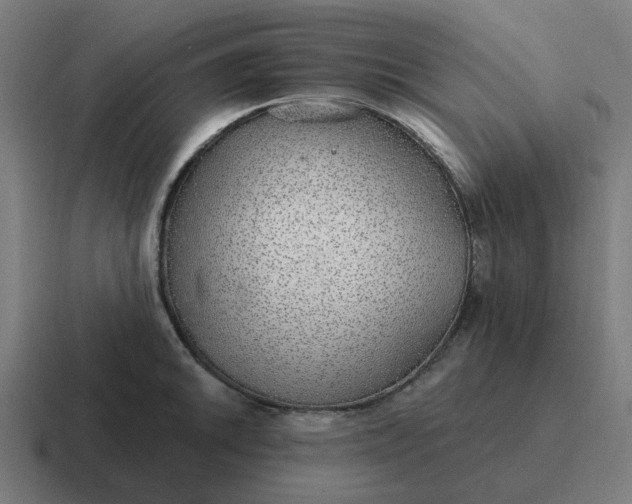 X0000116791046200912311913