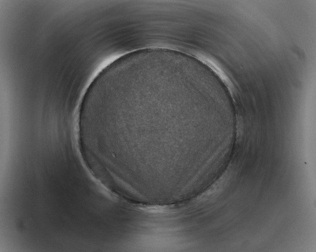 X0000116791048200912311913