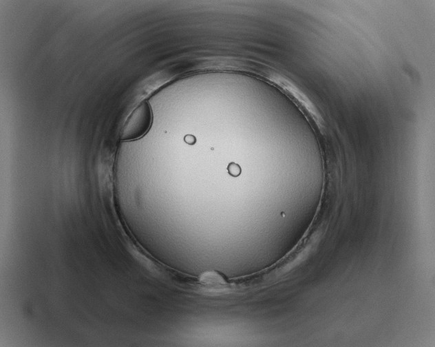 X0000116791049200912311913