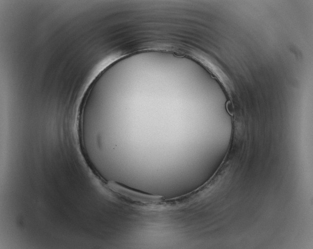 X0000116791050200912311913