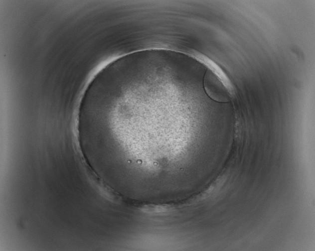 X0000116791051200912311913