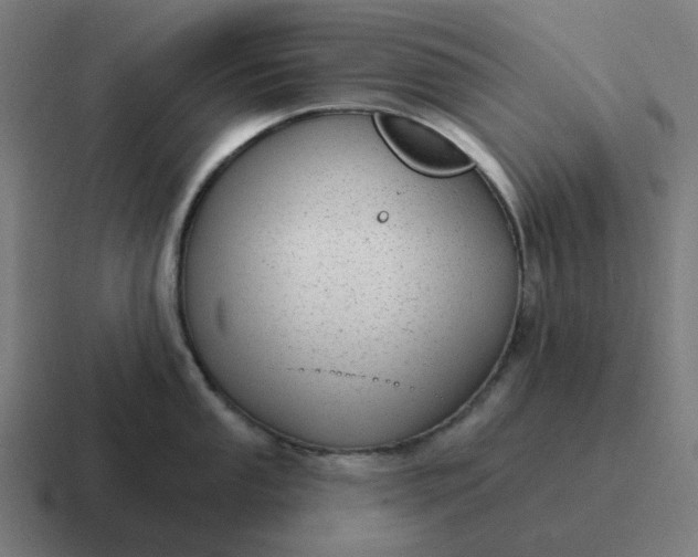 X0000116791053200912311913