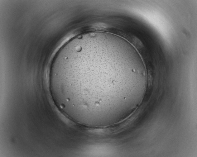 X0000116791054200912311913