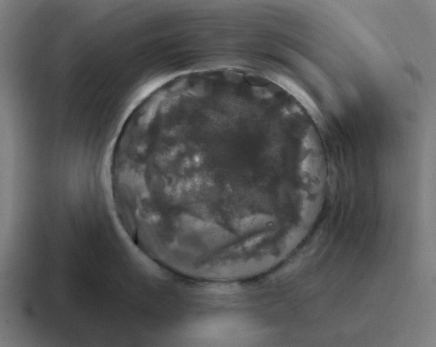 X0000116791055200912311913