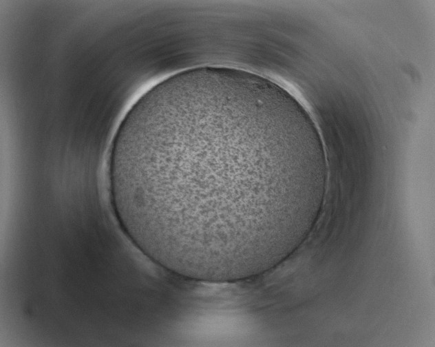 X0000116791056200912311913