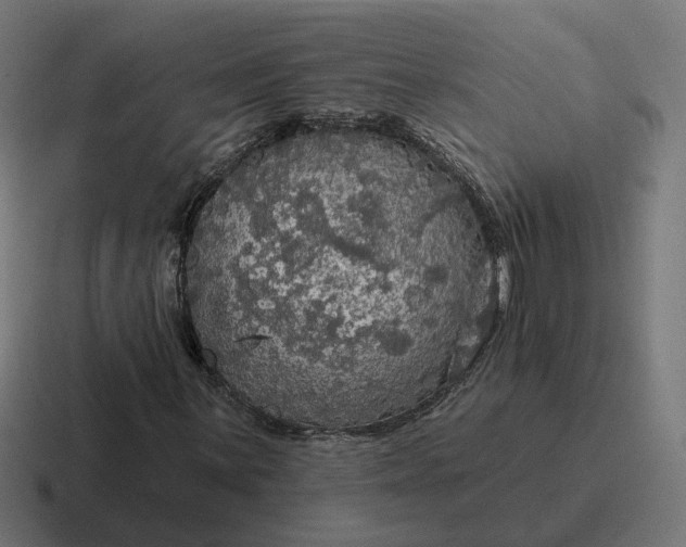 X0000116791059200912311912